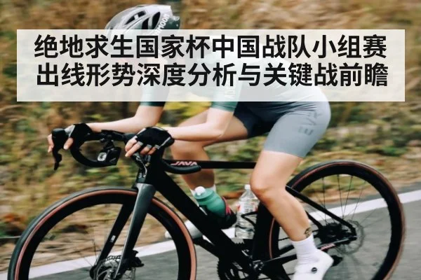 绝地求生国家杯中国战队小组赛出线形势深度分析与关键战前瞻
